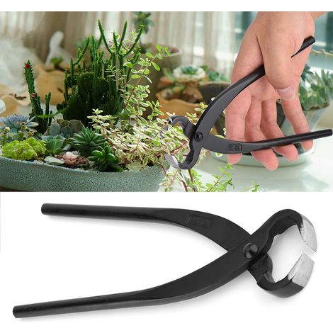 Coupe-racines concaves en alliage d'acier au manganèse de qualité professionnelle (205 mm) - Outils pour bonsaï (1/5)