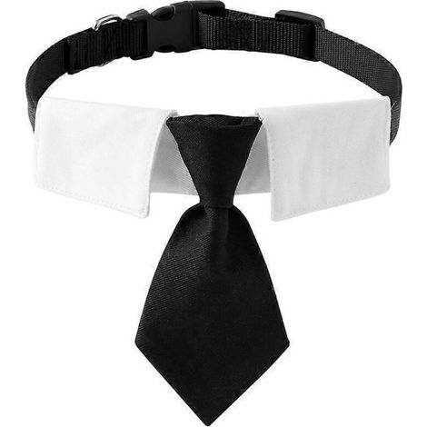 Collier pour chat avec nœud papillon, costume de mariage pour chat et petit chien, noir, taille S, accessoire élégant pour fille.