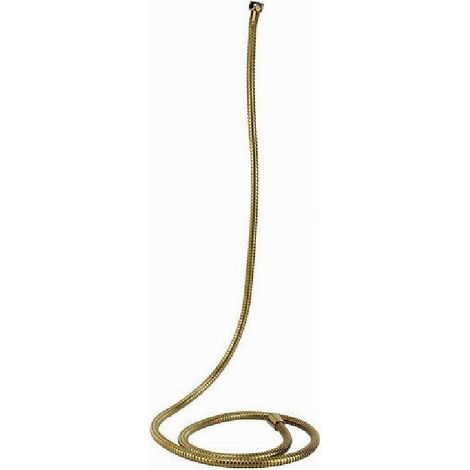 Cleafe - Tubo Laccio Flessibile Doccia Doccetta Vasca Bagno 2 Mt Universale 59536 Dorato - (1/2)