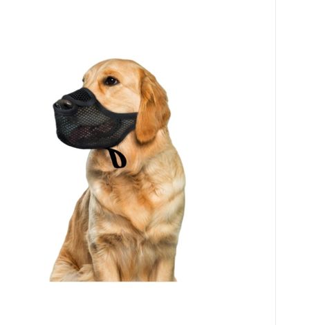 Muselière Anti-Ingestion pour Chien : Protection et Entraînement en Maille Aérée (1/3)