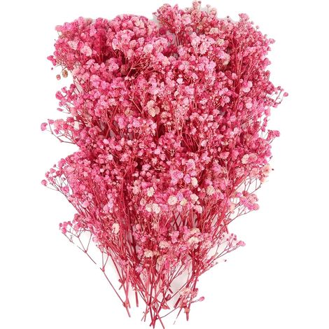 Getrocknete Blumen, Natürliche Ästhetik, Vielseitige Verwendung, Rosa (1/2)