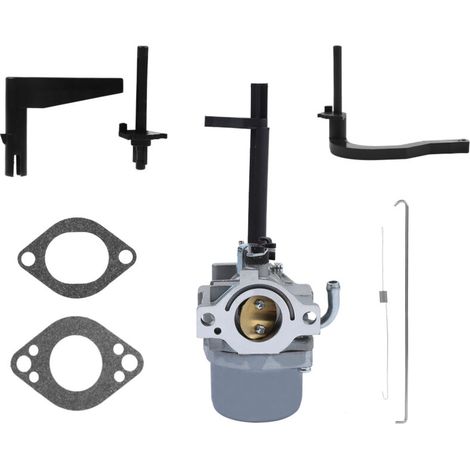 Carburateur Nikki pour Souffleuse à Neige Briggs & Stratton - Remplace 698305, 793778 (1/5)