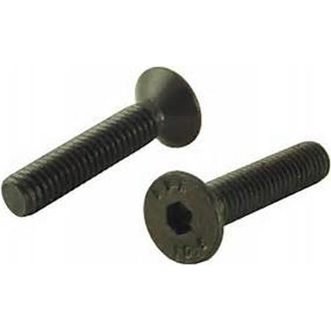 Viti select din 7991 classe 10.9 3 mm x 6 mm