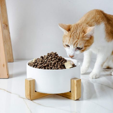 QAZQA Gamelles pour Chat, Bol En CéRamique Pour Chat Et Chien, Bol En CéRamique AntidéRapant Pour Animaux De Compagnie avec support à bols en bambou et bois(Blanc) (1/5)