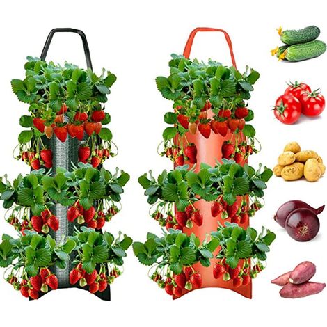 Sac de plantation,Sac de Plante Respirant 2 Pièces Suspendu Verticalement,Pots de plantation de fraise Respirant 6 trous avec poignée pot de plante pour la culture de tomates et de légumes (1/5)
