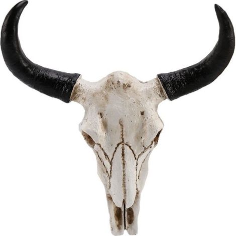 RéSine Longhorn Vache TêTe de Crâne Tenture Murale DéCor 3D Animal Faune Sculpture Figurines Artisanat Cornes pour Halloween DéCor (1/5)