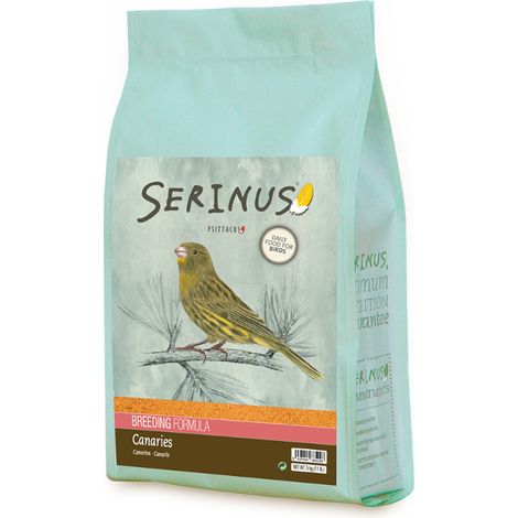 Serinus Canaries che riproduce 5 kg