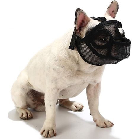 Muselière Chien - Maille Respirante Réglable pour Chiens à Museau Court - XXS Noir