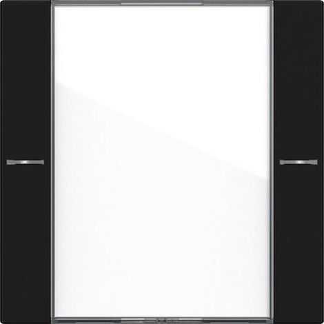 Gira WIPPENS.1F BSF TASTS.4 KLAR/SW (5771005 SYSTEM 55)