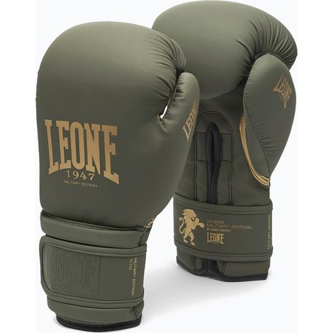 Guantes de boxeo Leone Idol verdes de 14 oz. (1/5)