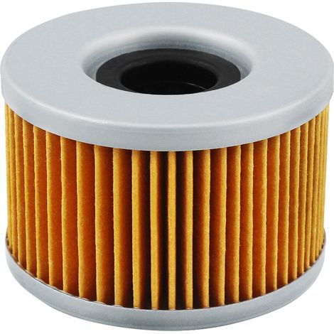 Filtre à huile pour Honda Trx500Fa/Trx-500Fa Foreman Rubicon 500 (1/5)