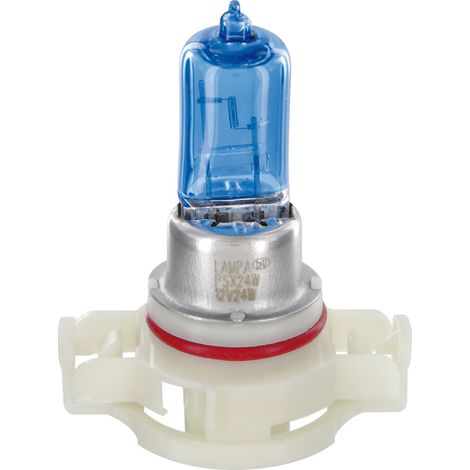 12V Lampada alogena Blu-Xe - PSX24W - 24W - PG20-7 - 2 pz  - Scatola (1/4)