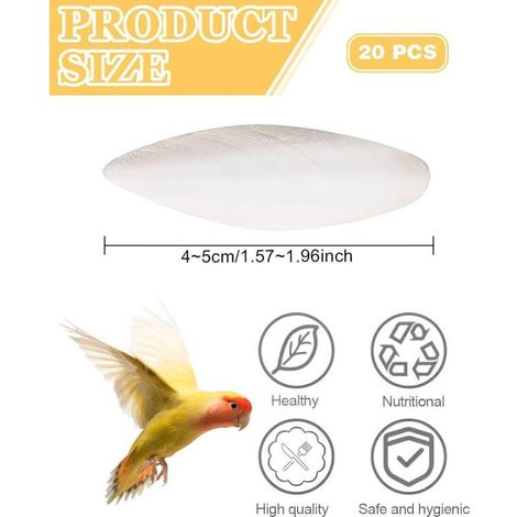 Lot de 20pcs de Seiche 45 cm pour Oiseaux, Tortues, Reptiles - Jouets à Mâcher Naturels pour Perroquets, Calmars et Animaux de Compagnie (1/5)