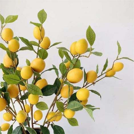 Branches et feuilles de citronnier haute définition, citron jaune, longues branches et feuilles, plante verte pour la décoration de salons et showrooms. (1/5)