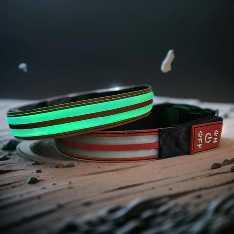Collar luminoso para perros - Luz LED de lujo - 14 modos de iluminación - Recargable por USB - Negro - Talla M - Resistente al agua - Silicona suave (1/5)