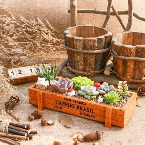 Pot De Fleurs - Bois Naturel - 22 x 8,5 x 4,5 cm - Pour Intérieur Bureau Chambre Jardin - 1 Pièce (1/4)