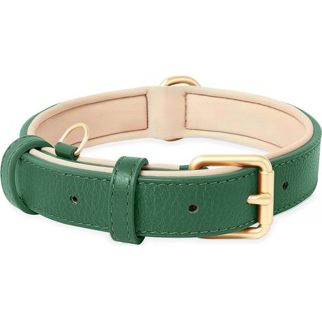 Collier pour Chien, en Cuir, Collier de Chien Ajustable Coussin Moelleux Cuir Nouvelle Couleur de Rembourrage pour Petits, Moyens ou Grands Chiens, Vert Foncé, XS (1/5)