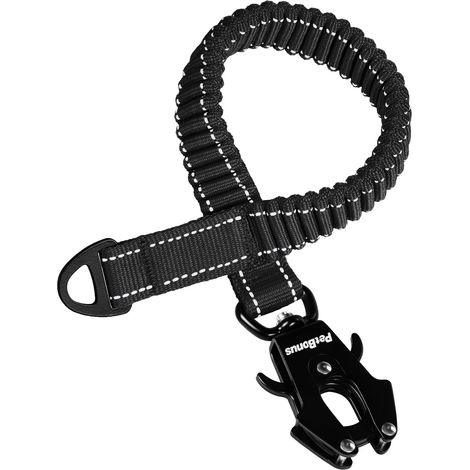 Extension de Laisse élastique pour Chien, Absorption des Chocs (1/5)