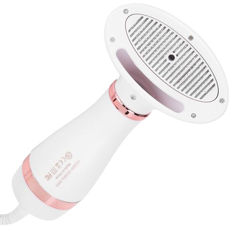 Sèche-cheveux portable 2 en 1 pour animaux de compagnie, avec température réglable, pour chiens et chats de petite et moyenne taille. Prise européenne 220 V, finition dorée. (1/5)