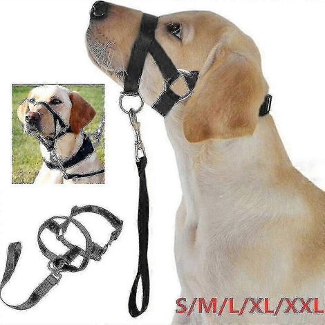 Licol de dressage pour chien 25-26, accessoire anti-mâchouillage (1/4)