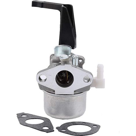 Carburatore con guarnizione di montaggio per & 696065