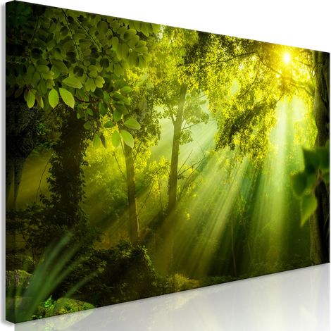 Quadro - In the Sunshine (1 Part) Narrow - 135x45 (1/4)