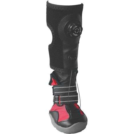 Chaussures pour Chiens Protecteur Correcteur Antidérapant Anti-Affaissement  Botte de Soutien Anti-Traînage avec Attelle pour la Marche la Course les Activités Extérieures le Shopping (1/5)