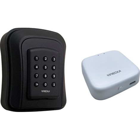ARREGUI Access SEG016N + BRIDGE Cassetta di sicurezza per chiavi con apertura tramite app o codice tramite tastiera Cassetta di sicurezza per chiavi esterne Paraventi da parete ideale Airbnb e (1/5)
