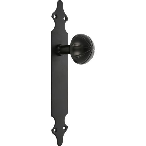 AMIG Bouton de porte avec plaque 18 280 x 45 x 2 mm Plaque d'acier, Poignée zamak Noir (1/5)