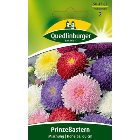 Quedlinburger Prinzeßastern Mischung - Blumensamen (1/2)