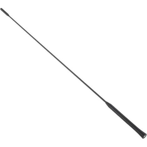 Antenne de voiture pour Ford Focus (2000-2007) Longueur 21,5 (1/4)