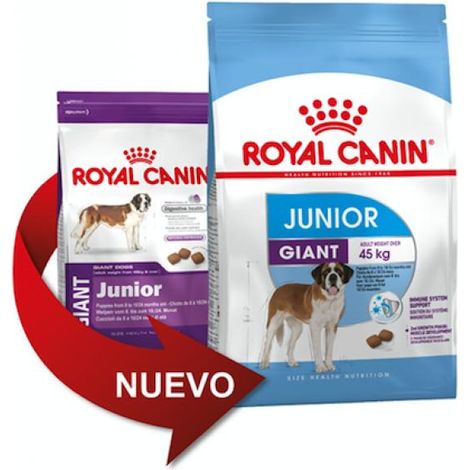 Pienso ROYAL CANIN GIANT JUNIOR perros de tamaño gigante (De 8 a