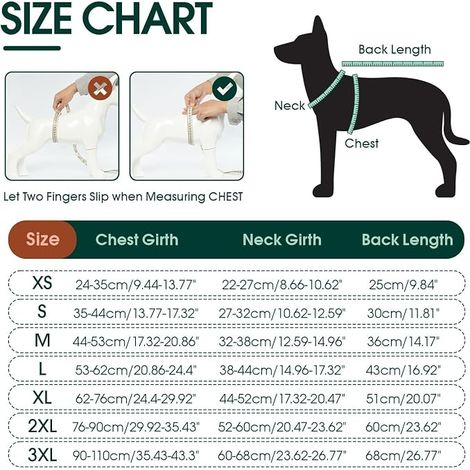 Manteau d'hiver pour Petits Chiens - imperméable et Chaude - Veste d'extérieur avec Trou pour Harnais - Veste réversible à Carreaux - Vert M (1/4)
