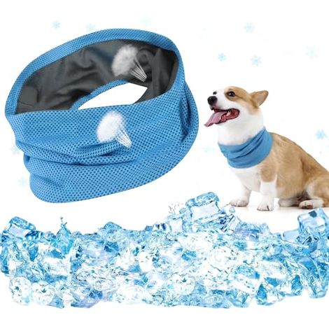 Collier Refroidissant Chien, Respirant, Bandana, Foulard, Ete, Promenade, Animal, Compagnie, Frais (1/5)