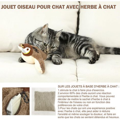 Jouet oiseau interactif pour chat, jouet électrique en peluche avec mouvement et herbe à chat, stimulant pour jeu et exercice (1/5)