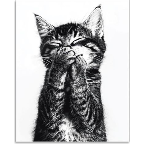 Affiche Decoration Murale de Chats en Noir et Blanc Affiches D'Art Mural Vintage Impressions de Rire de Chaton Poster Mural Tableaux, Posters et Arts Décoratifs Sans Cadre (1/5)