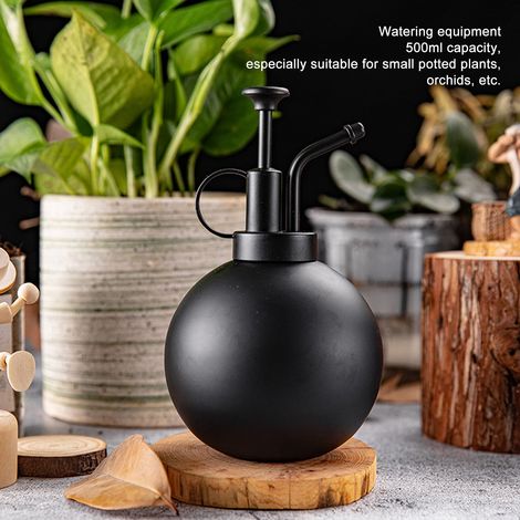 Pulvérisateur Manuel 500ml Acier Inoxydable Noir Design Vintage Buse Brume Fine pour Plantes Intérieures et Jardinage (1/5)
