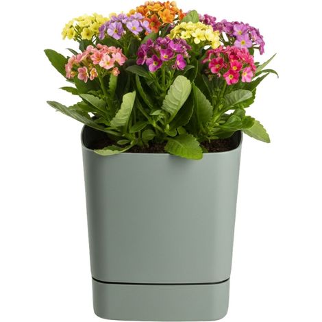 CUBI Recycling-Blumentopf mit Untersetzer, graugrün, 25 x 25 cm