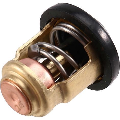 Thermostat 66M-12411-00 pour moteur 4 temps F 40 50 60 80 100 (1/5)