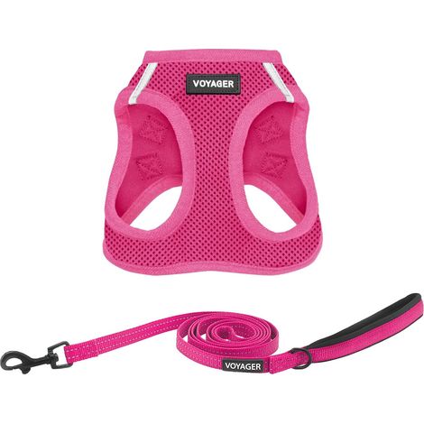 Filiyano-Ensemble harnais et laisse pour chat – Harnais gilet en maille imperméable pour chats de petite et moyenne taille – Par Best Pet Supplies (1/5)