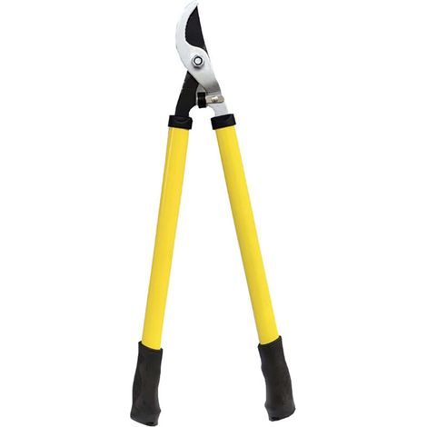 Ciseaux de jardinage à gchette télescopique en acier, coupe-branches hautes, sécateur pour la coupe d'arbustes (1/5)