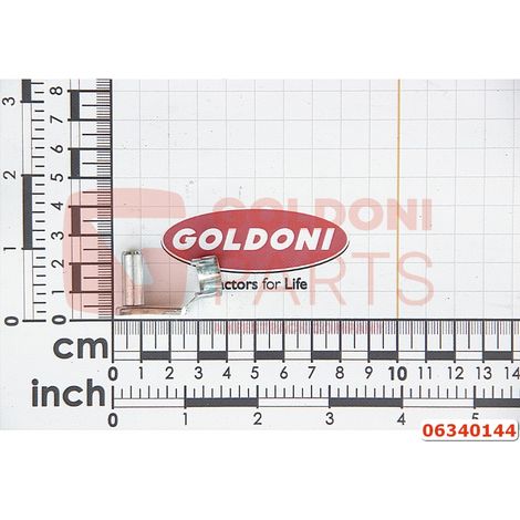Perno KALWAS 8X16 ESN 01 ORIGINALE GOLDONI 06340144