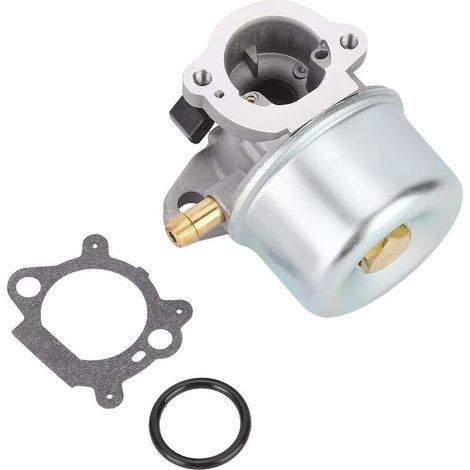Carburateur 799868 avec joint et joint torique de Compatible with carburateur Briggs & Stratton 498170 498254 497347 497314 (1/5)