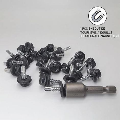 Vis autoforeuses pour toiture en métal 4,8 x 19 mm EPDM tête de rondelle hexagonale peinte Vis à tôle (1/3)