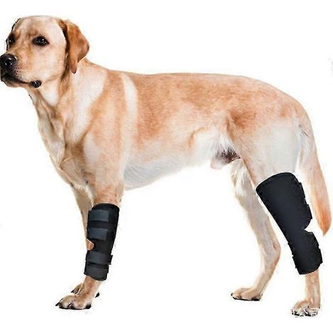 Filiyano – Support pour pattes arrière – (Paire) Support pour pattes arrière de chien. Très confortable grâce à ses doubles inserts à ressorts (1/5)