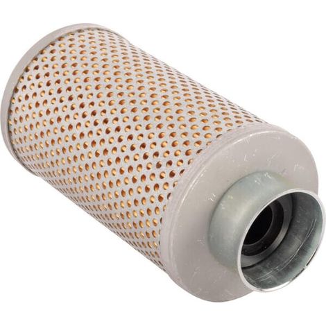Filter 1425418M1 LANDINI 1425418M1 (1/2)