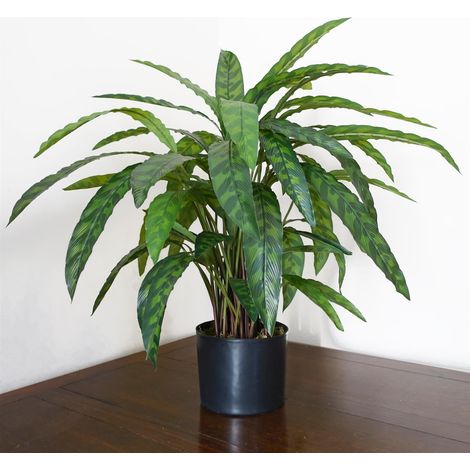 60cm Variegated Artificial Calathea Plant Premium (1/5)