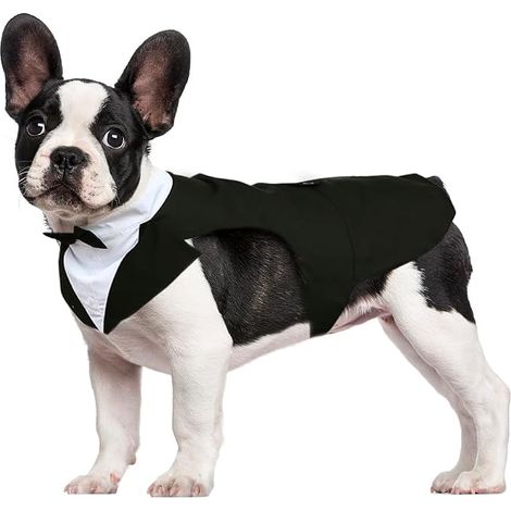 Costume for Small and Medium Dogs, Puppy Shirt with Removable Bow, Dog Costume for Wedding Party Festival (1/5)