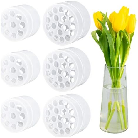BUNTHAUS Lot de 6 supports de fleurs - En spirale - Transparent - Pour tige de fleur - Vase Ikebana - Accessoire de composition florale DIY - Ikebana Twister (1/4)