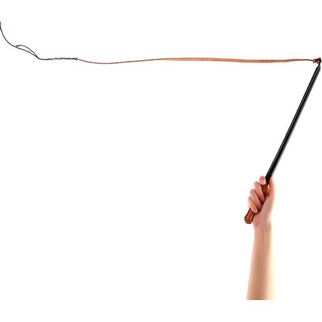 Professionelle Hundetrainingspeitsche mit Gummigriff – Material: Kunstleder – 1 Stück (Farbe zufällig) – Maße: 54,5 cm (Peitschenteil), 62 cm (Spitzenteil) (1/5)